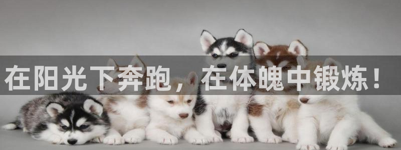 在阳光下奔跑，在体魄中锻炼！