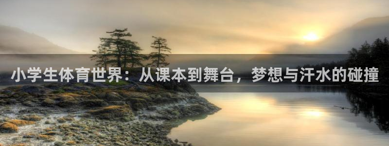 小学生体育世界：从课本到舞台，梦想与汗水的碰撞
