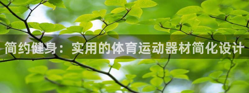简约健身：实用的体育运动器材简化设计