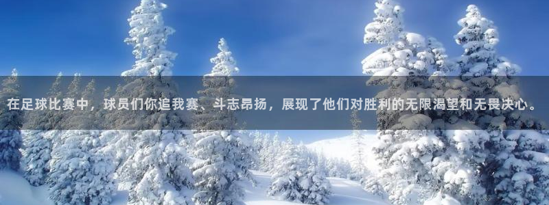 在足球比赛中，球员们你追我赛、斗志昂扬，展现了他们对胜利的无限渴望和无畏决心。