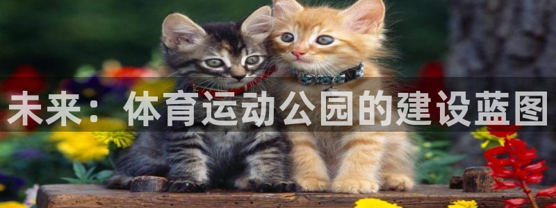 未来：体育运动公园的建设蓝图