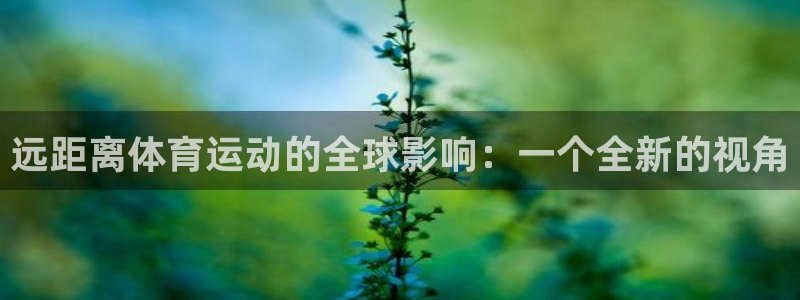 远距离体育运动的全球影响：一个全新的视角