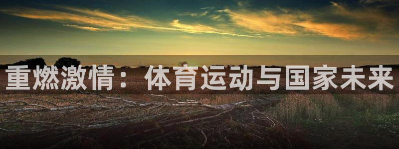 重燃激情：体育运动与国家未来