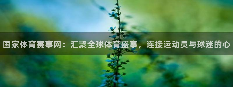 国家体育赛事网：汇聚全球体育盛事，连接运动员与球迷的心