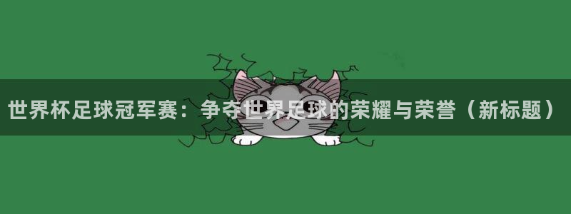 世界杯足球冠军赛：争夺世界足球的荣耀与荣誉（新标题）